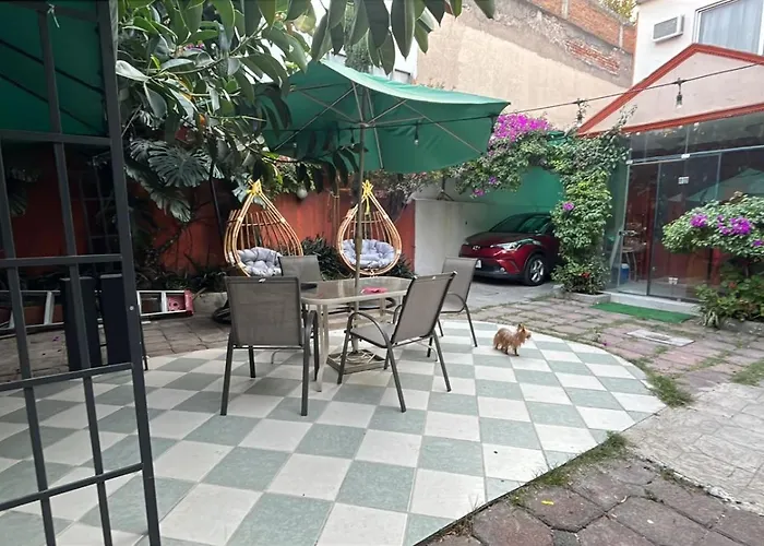Amarilla México DF